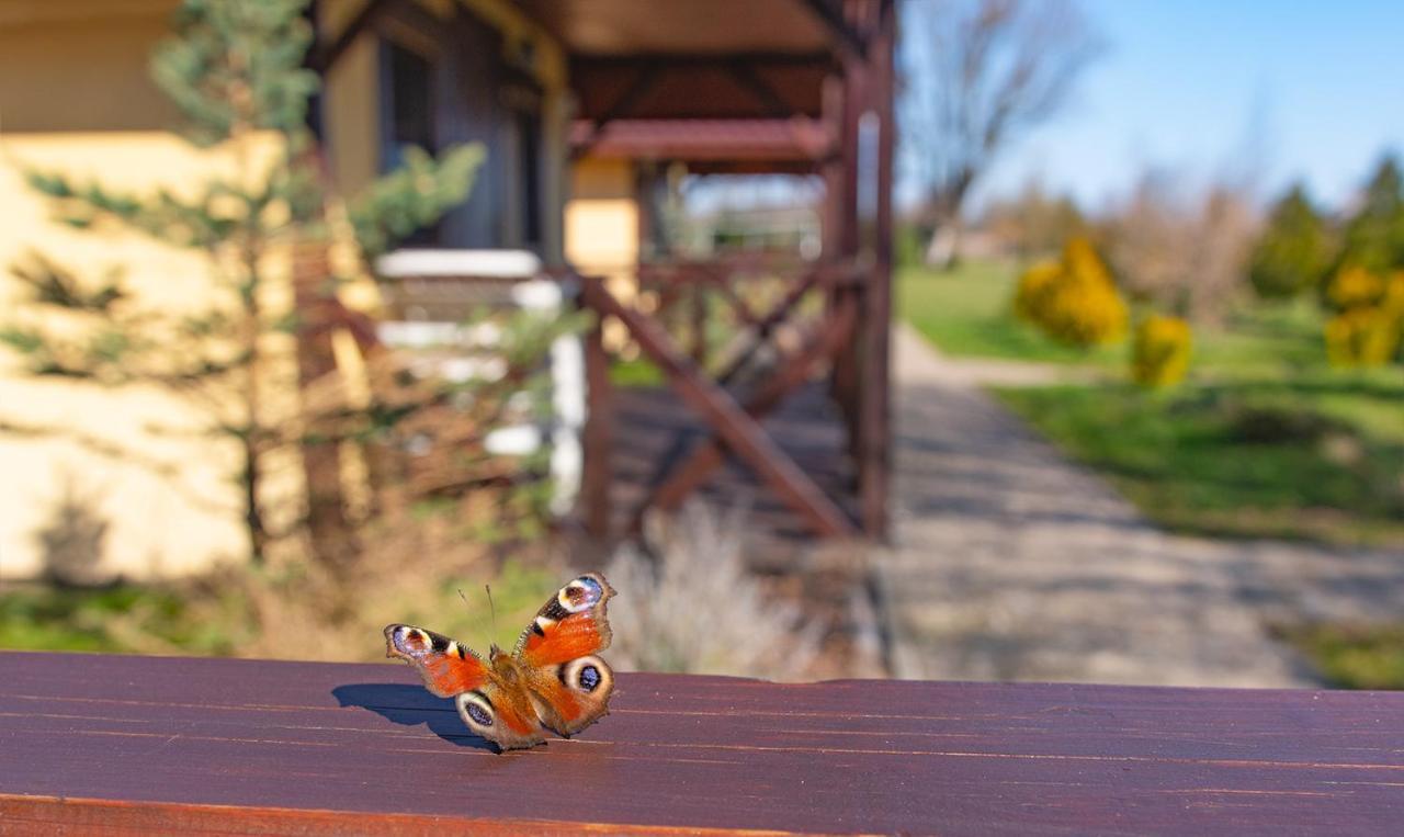 Przyjazna Osada - Domki I Apartamenty Ujście-Darłowskie エクステリア 写真
